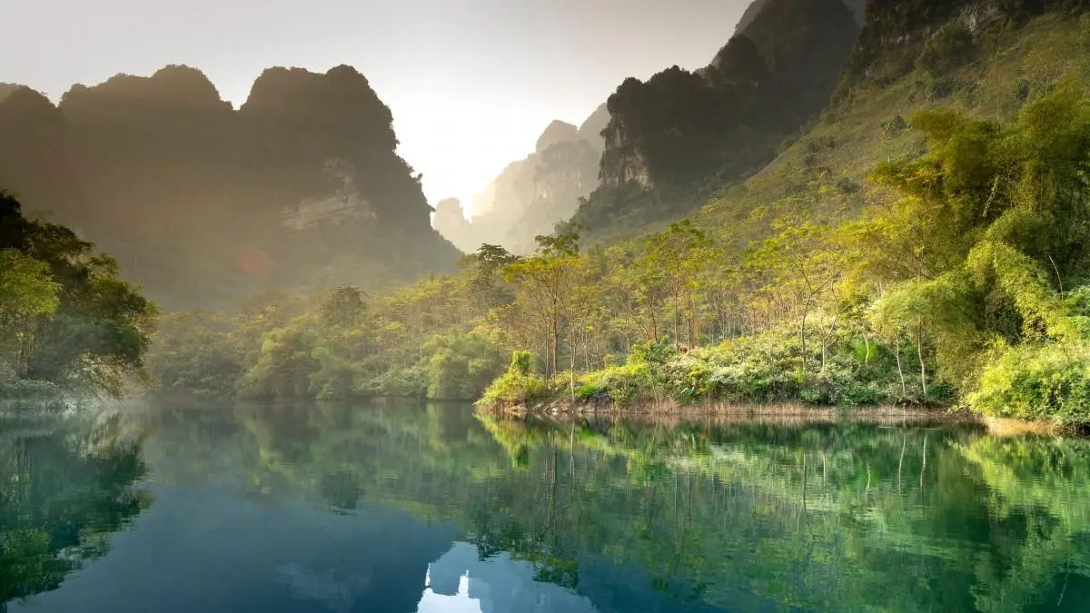 科技绿色高性能